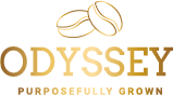 Odyssey Ventures LLC